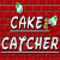 Cake Catcher
