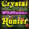 Crystal Hunter - Wildflowers