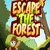 Escape the Forest (Fixed)