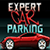 Expert Car Parking