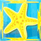 Finding Star Fish