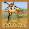 Giraffe Hero