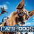 Hidden Numbers - Cats And Dogs