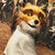 Hidden Numbers-Mr Fox