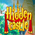 Hidden Castle