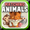 Matching Animals Time