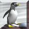 Penguin Flight