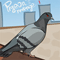 Pigeon's Revenge