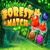 Forest Match Level 13