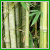 Hidden Numbers - Bamboo