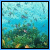 Hidden Numbers - Underwater