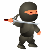 Ninja-boy